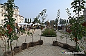 VBS_6718 - FLOREAL Ottobre 2022 - Tre giorni di fiori, piante e bellezza